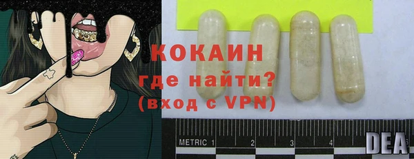 прущие грибы Армянск