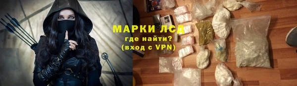 PSILOCYBIN Аркадак