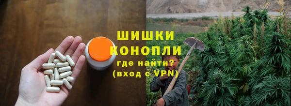 прущие грибы Армянск