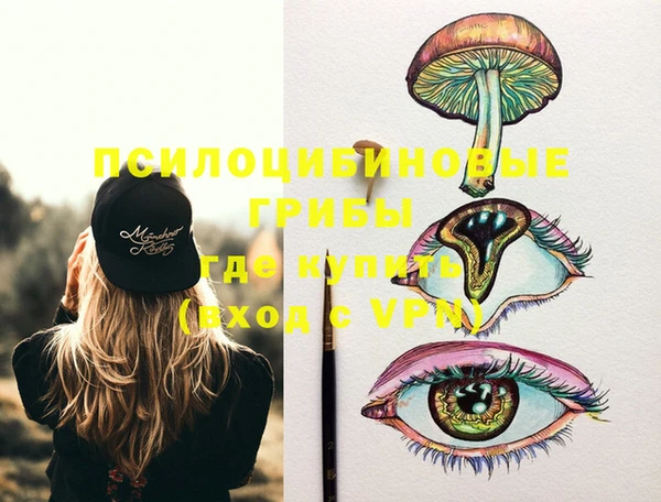 PSILOCYBIN Аркадак